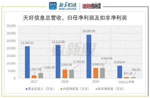 天好信息拟IPO 产品收入结构转型与软件开发业务的挑战